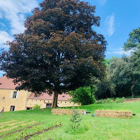L'Ecrin Des Symes Villa Simeyrols Exterior foto